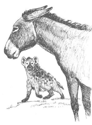  The Donkey and the Hyena: Exploring Ethiopian Folk Wisdom Through Animal Trickery!